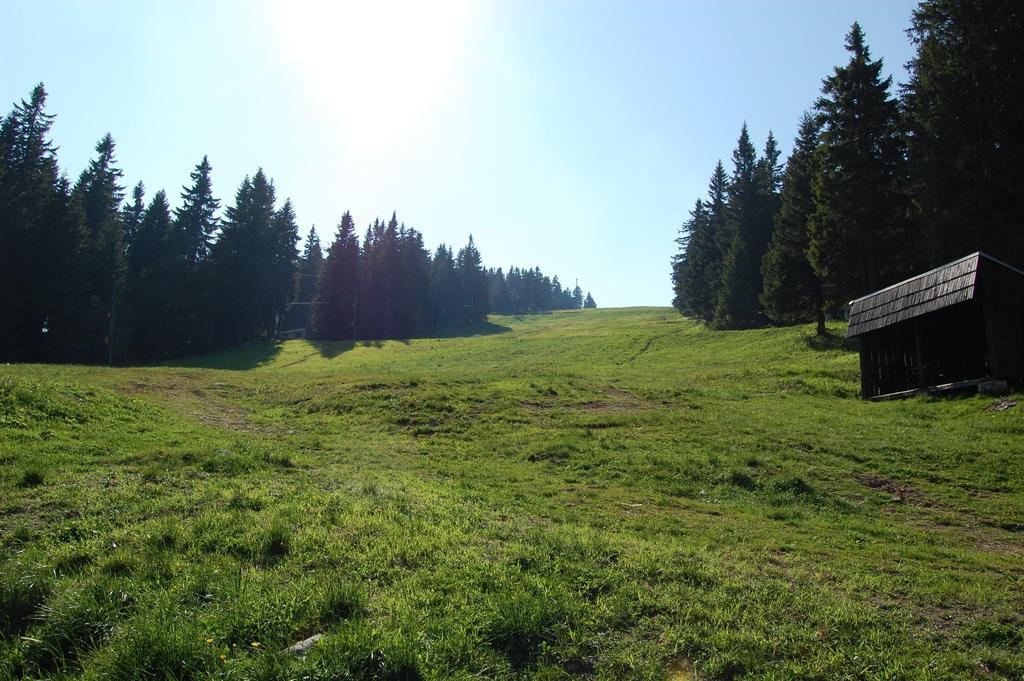 Nova Ponorka Martinske Hole Martinky Apartman Szoba fotó